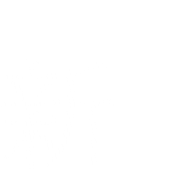 新
