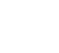 Alternate Text