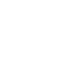 Alternate Text