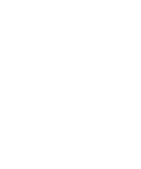 Alternate Text